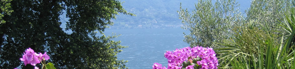 header-home